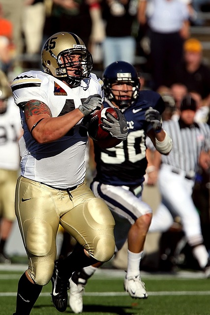 场号召力 场号召力